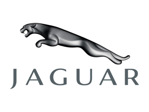Фары противотуманные Jaguar